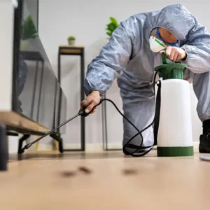 Técnico realizando desinsetização em ambiente interno para controle de insetos em Maringá