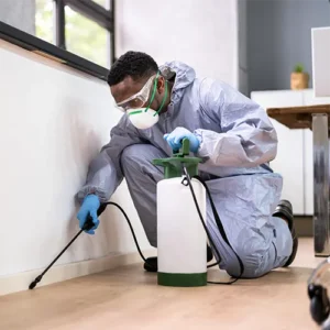 Profissional da TecLine Pragas aplicando desinsetização segura em imóvel em Maringá